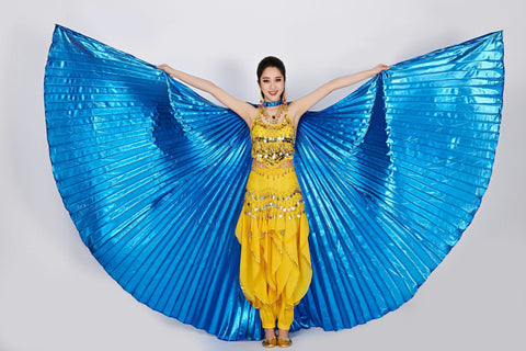 Adult Belly Dance Golden Wing Sier Costumes
