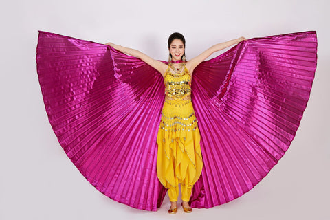 Adult Belly Dance Golden Wing Sier Costumes