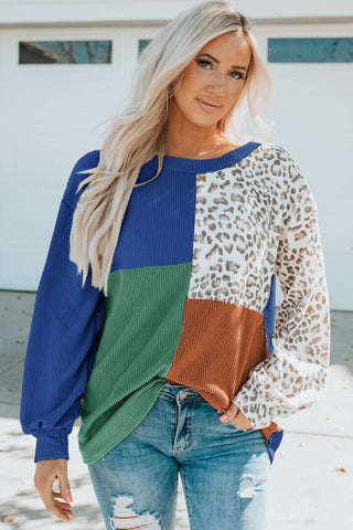 Women's Color Leopard Print Knitted Long-sleeved Tops
