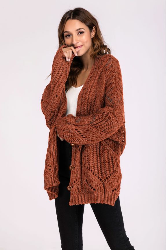 Women's Long Sleeve Casual Dignified Hollow Loose Solid Knitwear